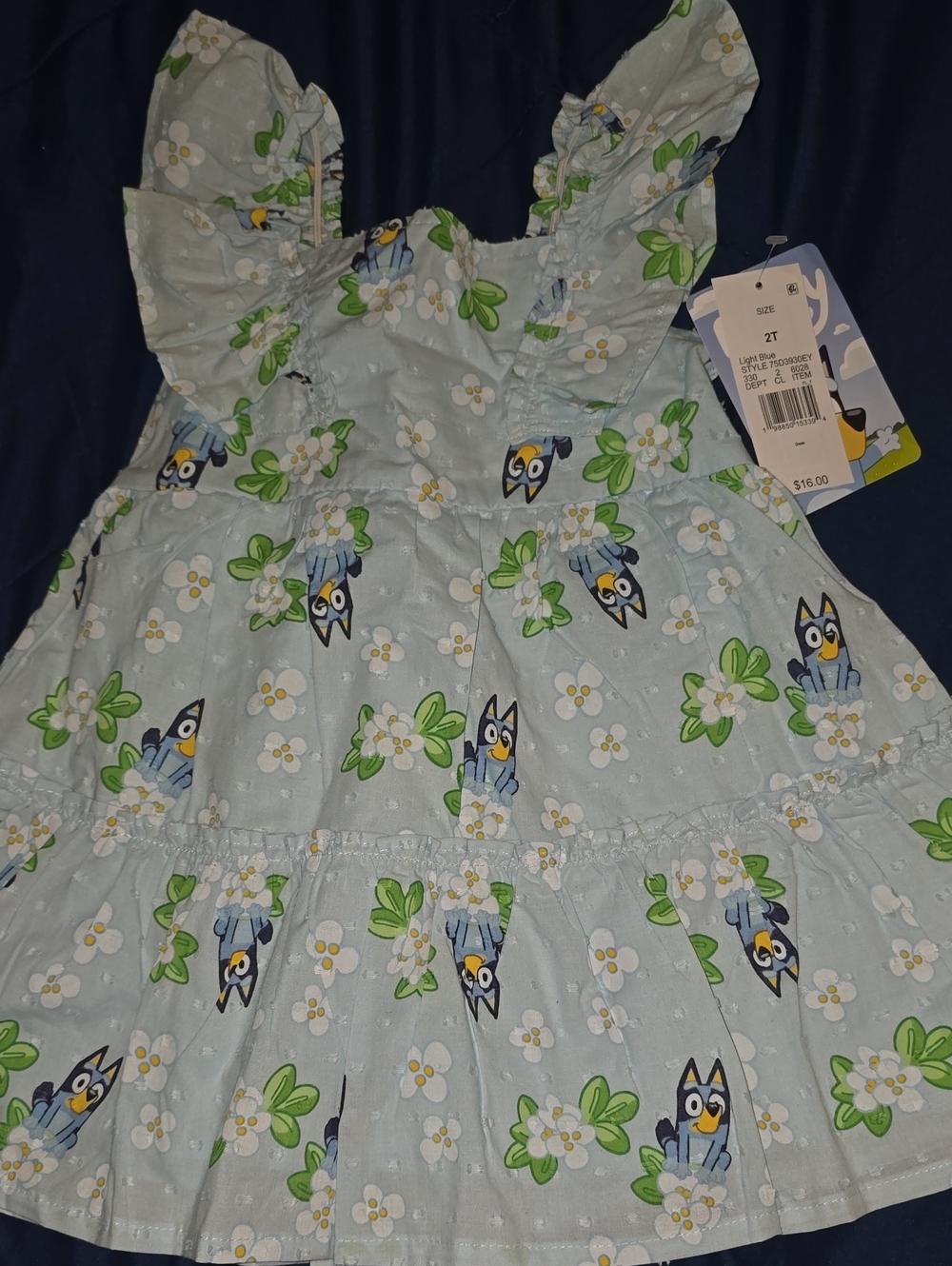 2T Bluey Dress